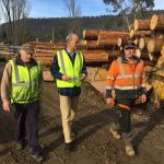 at Huon Valley Timber