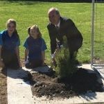 Port Sorell Lone Pine planting