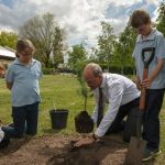 Lone Pine Planting